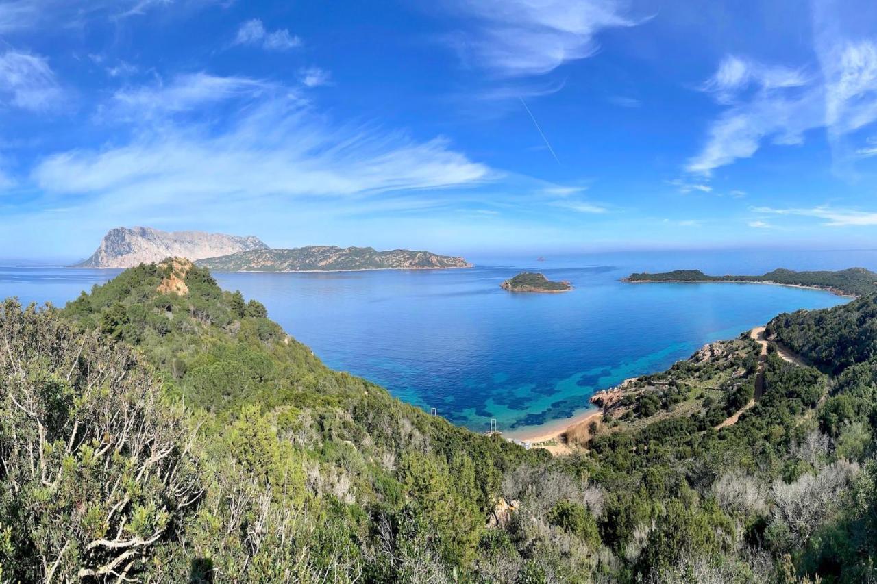 San Teodoro Punta Est Curatissimo Bilocale Apartment Capo Coda Cavallo Exterior foto
