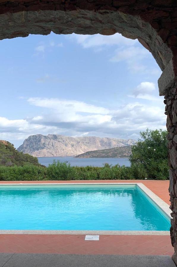 San Teodoro Punta Est Curatissimo Bilocale Apartment Capo Coda Cavallo Exterior foto