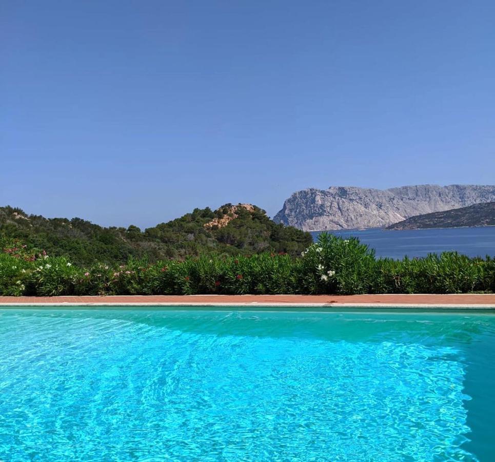 San Teodoro Punta Est Curatissimo Bilocale Apartment Capo Coda Cavallo Exterior foto