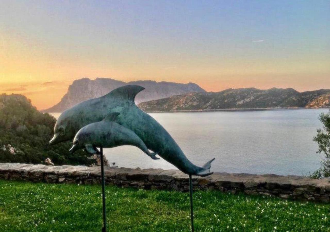 San Teodoro Punta Est Curatissimo Bilocale Apartment Capo Coda Cavallo Exterior foto