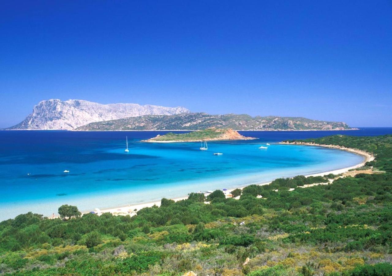 San Teodoro Punta Est Curatissimo Bilocale Apartment Capo Coda Cavallo Exterior foto